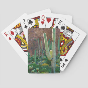 USA, Arizona. Saguaro Cactus Field By A Cliff Playing Cards