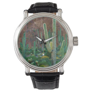 USA, Arizona. Saguaro Cactus Field By A Cliff Watch