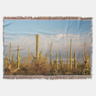 USA, Arizona, Saguaro National Park, Saguaro Throw Blanket