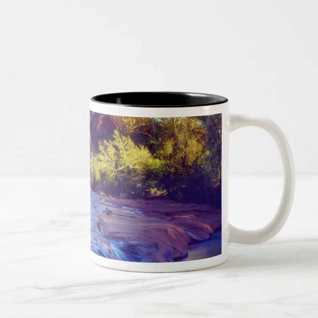 USA, Arizona, Sedona. Cathedral Rock reflecting 2 Two-Tone Coffee Mug (Right)