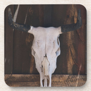 USA, Arizona. Skull On A Shop Wall Coaster