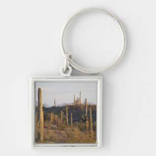 USA, Arizona, Sonoran Desert, Ajo, Ajo 2 Key Ring