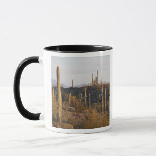 USA, Arizona, Sonoran Desert, Ajo, Ajo 2 Mug