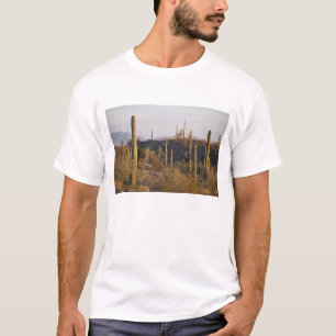 USA, Arizona, Sonoran Desert, Ajo, Ajo 2 T-Shirt