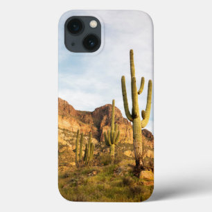 USA, Arizona, Tonto National Forest, Picketpost 2 iPhone 13 Case