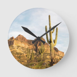 USA, Arizona, Tonto National Forest, Picketpost 2 Round Clock