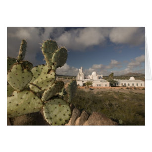 USA, Arizona, Tucson: Mission San Xavier del Bac 2
