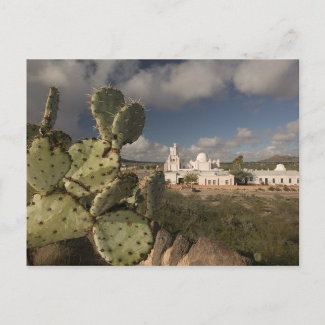 USA, Arizona, Tucson: Mission San Xavier del Bac 2 Postcard (Front)