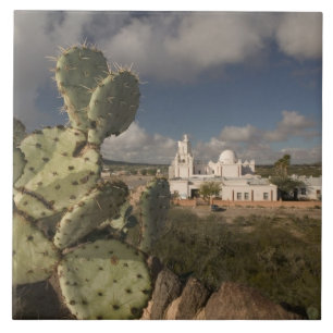 USA, Arizona, Tucson: Mission San Xavier del Bac 2 Tile
