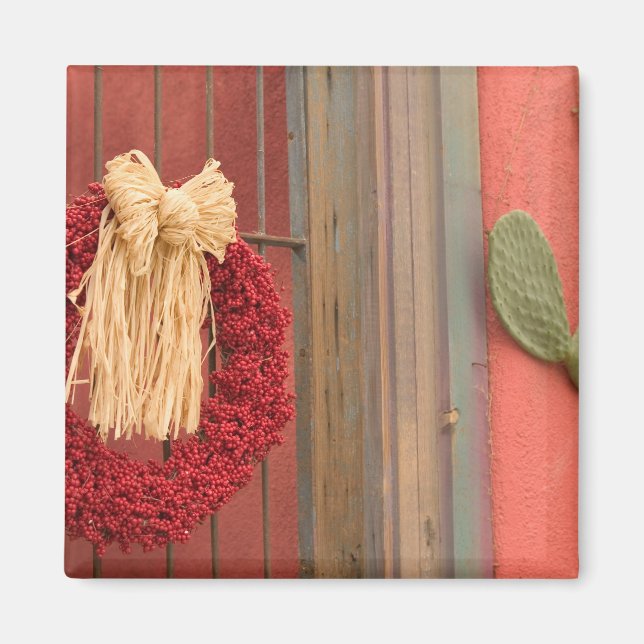 USA, Arizona, Tucson: Presidio Historic District Magnet (Front)