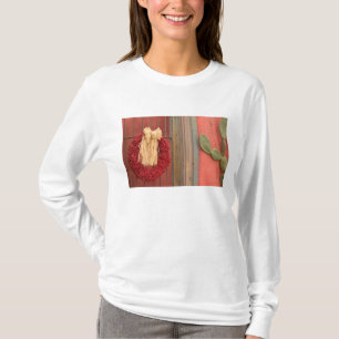 USA, Arizona, Tucson: Presidio Historic District T-Shirt
