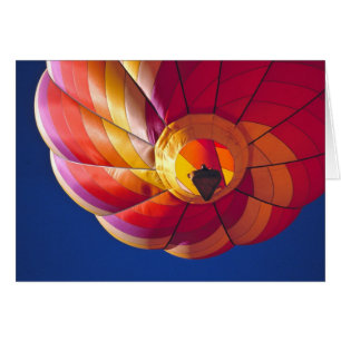 USA, Arizona, Val Vista. A colourful hot-air