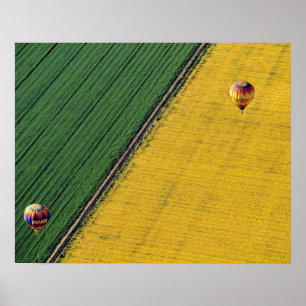 USA, Arizona, Val Vista. Hot-air balloons soar Poster