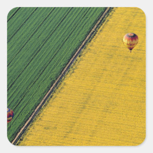 USA, Arizona, Val Vista. Hot-air balloons soar Square Sticker