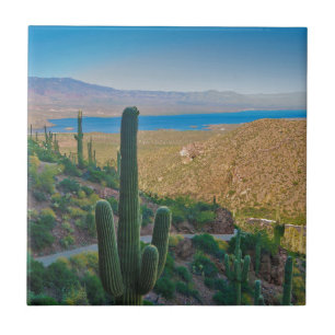 USA, Arizona. View From The Entrance To Tonto Ceramic Tile