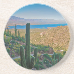 USA, Arizona. View From The Entrance To Tonto Coaster