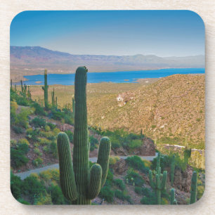 USA, Arizona. View From The Entrance To Tonto Coaster