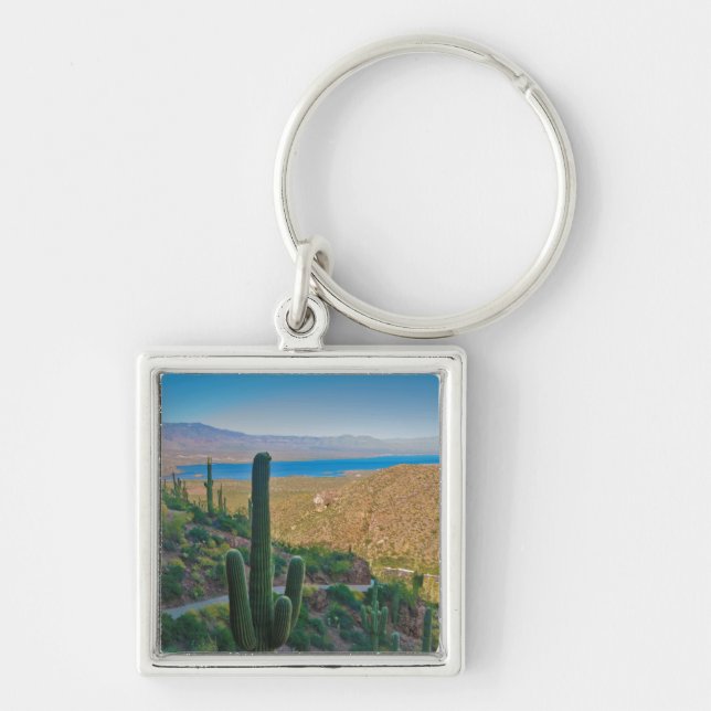 USA, Arizona. View From The Entrance To Tonto Key Ring (Front)