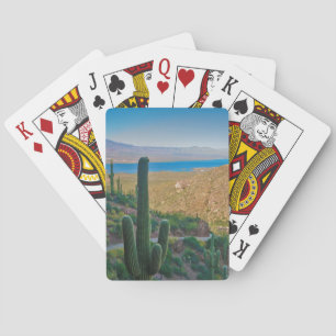 USA, Arizona. View From The Entrance To Tonto Playing Cards