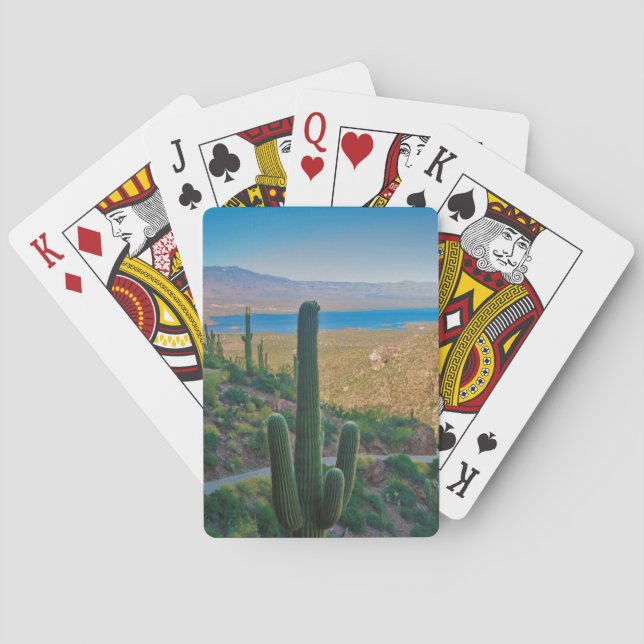 USA, Arizona. View From The Entrance To Tonto Playing Cards (Back)