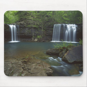 USA, Arkansas, Ozark- St Francis National Mouse Pad