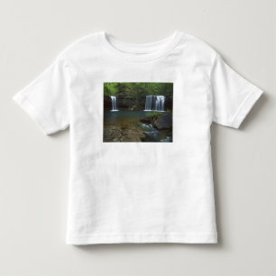 USA, Arkansas, Ozark- St Francis National Toddler T-Shirt