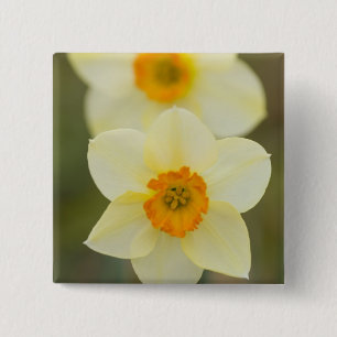 USA, Arlington, Virginia, closeup of white 15 Cm Square Badge