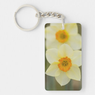 USA, Arlington, Virginia, closeup of white Key Ring