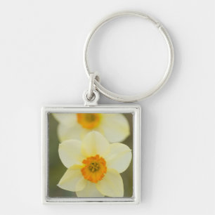 USA, Arlington, Virginia, closeup of white Key Ring