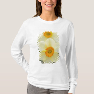 USA, Arlington, Virginia, closeup of white T-Shirt