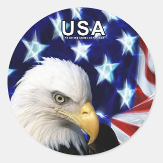 USA Bald Eagle with Flag Sticker
