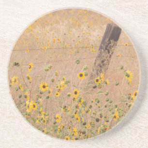 USA, California, Adin. Barbed-Wire Fence Coaster