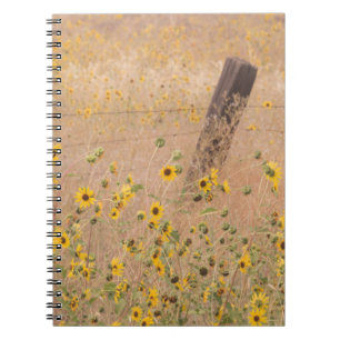USA, California, Adin. Barbed-Wire Fence Notebook