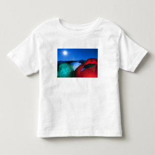 USA, California, Alabama Hills, Night photo of Toddler T-Shirt