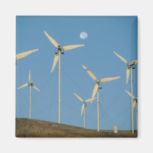 USA, California, Altamont Pass, wind generators. Magnet