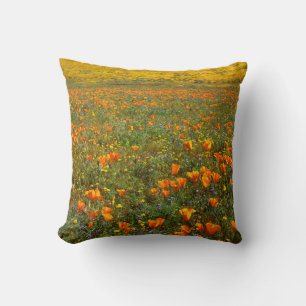 USA, California, Antelope Valley California Cushion