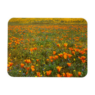USA, California, Antelope Valley California Magnet