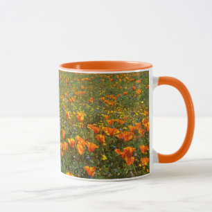 USA, California, Antelope Valley California Mug