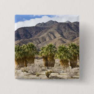 USA, California, Anza-Borrego Desert State Park. 15 Cm Square Badge