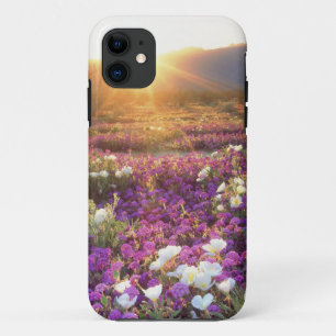 USA, California, Anza-Borrego Desert State Park. 2 iPhone 11 Case