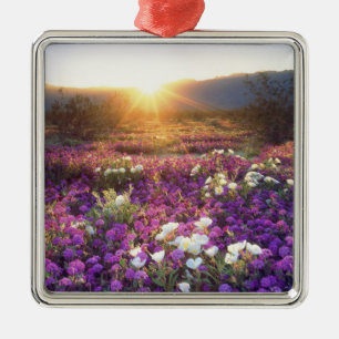 USA, California, Anza-Borrego Desert State Park. 2 Metal Tree Decoration