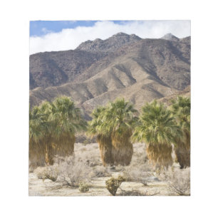 USA, California, Anza-Borrego Desert State Park. Notepad