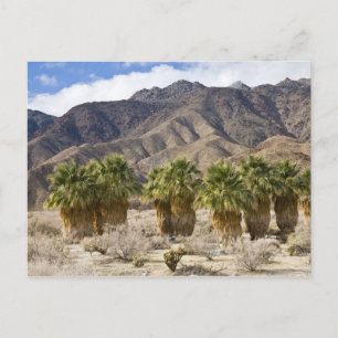 USA, California, Anza-Borrego Desert State Park. Postcard