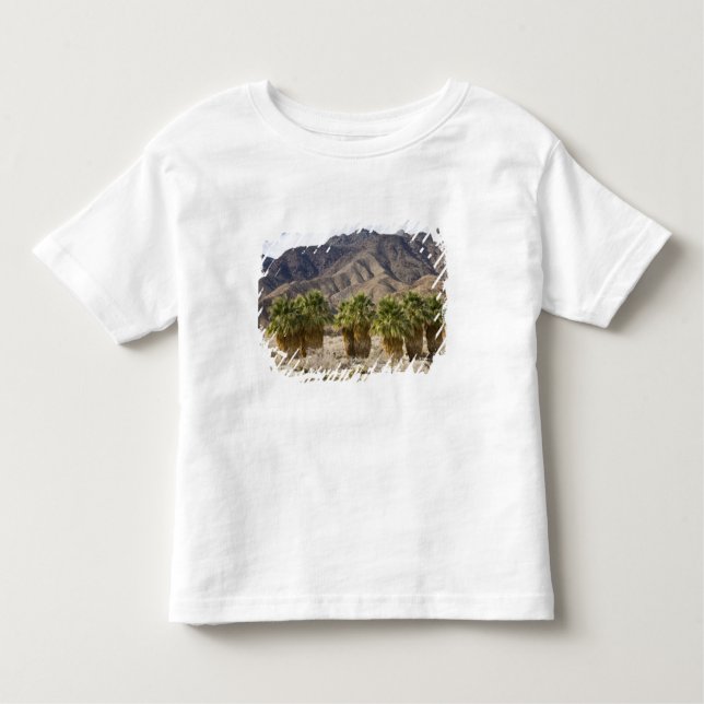 USA, California, Anza-Borrego Desert State Park. Toddler T-Shirt (Front)