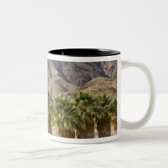 USA, California, Anza-Borrego Desert State Park. Two-Tone Coffee Mug (Right)