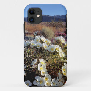 USA, California, Anza-Borrego DSP. Dune evening 2 iPhone 11 Case