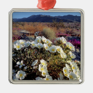 USA, California, Anza-Borrego DSP. Dune evening 2 Metal Tree Decoration