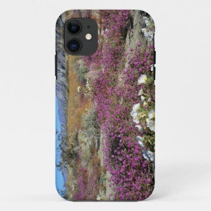 USA, California, Anza-Borrego DSP. Dune evening iPhone 11 Case
