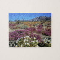 USA, California, Anza-Borrego DSP. Dune evening