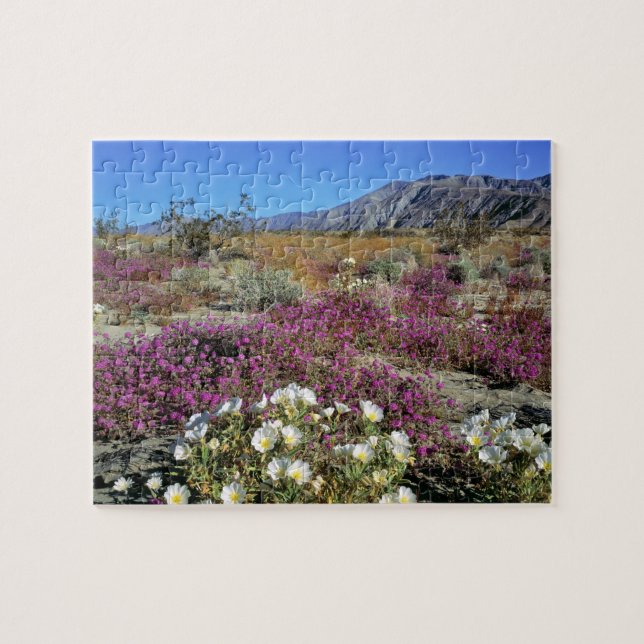 USA, California, Anza-Borrego DSP. Dune evening Jigsaw Puzzle (Horizontal)